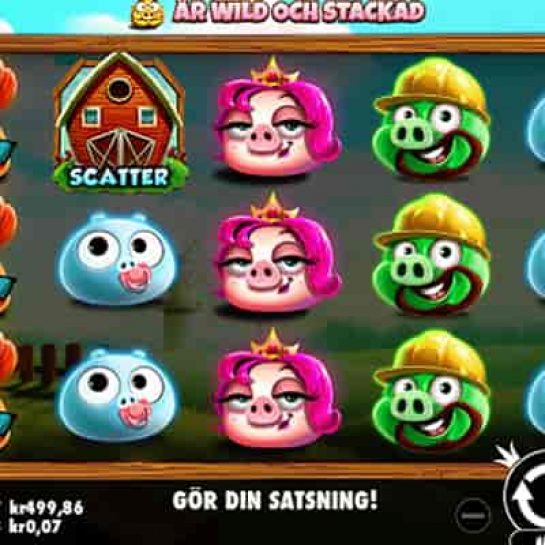 7 Piggies