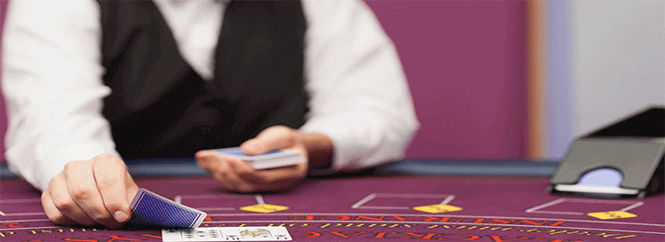 live blackjack
