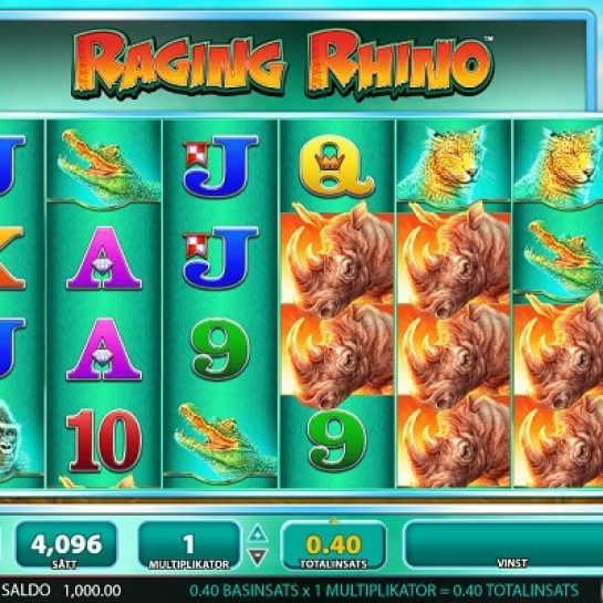 Raging Rhino