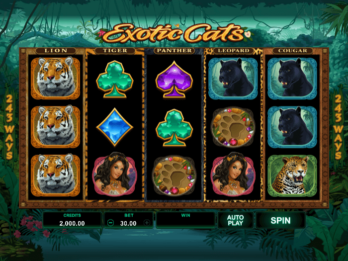 exotic cats iframe
