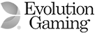 Evolution Gaming logo
